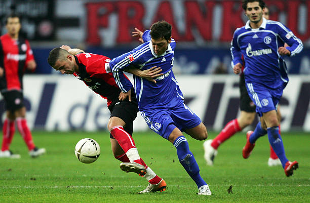 新任命的教 新任命的教